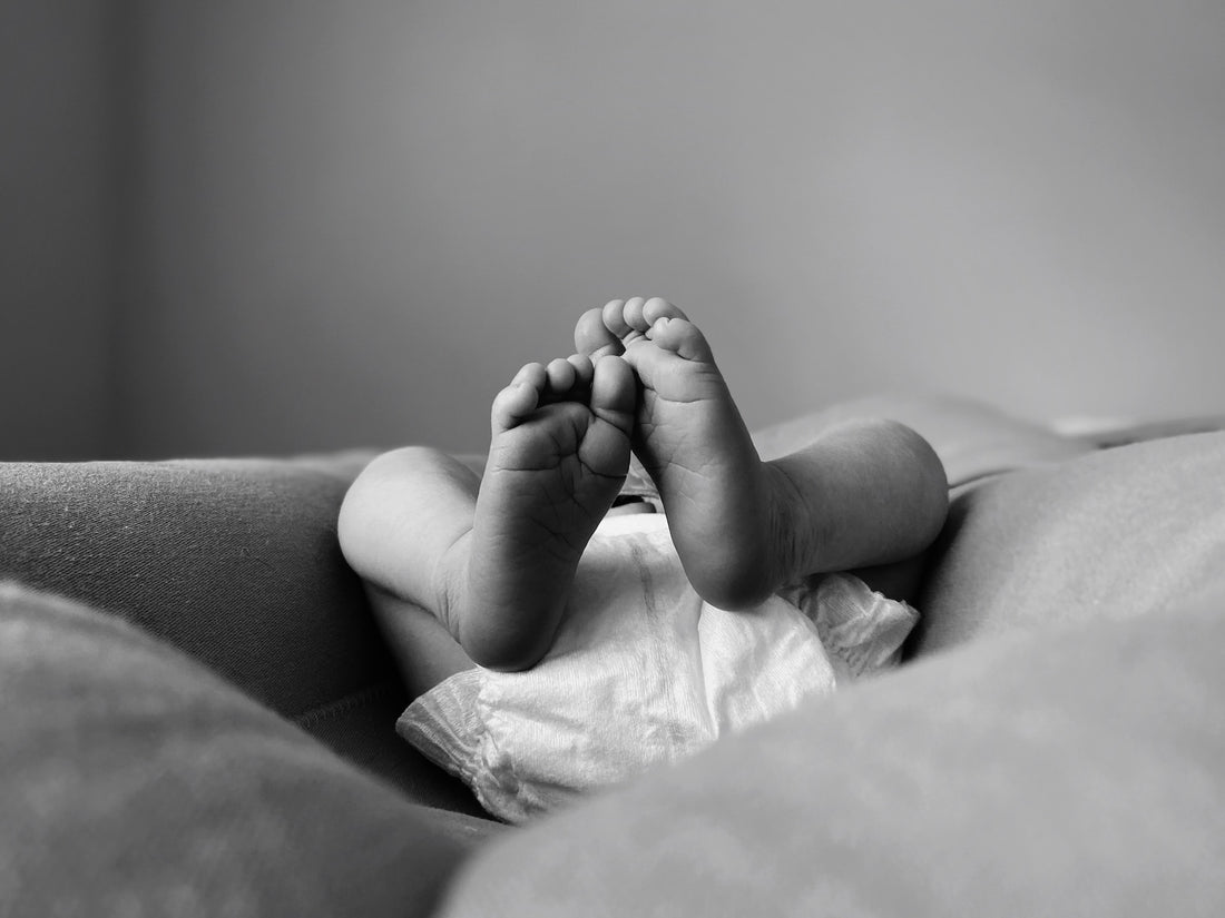 Pampers Baby Dry