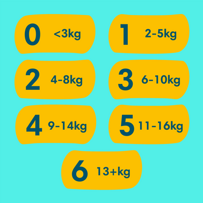 Pampers Premium Protection T5 Junior 11-16kg (152 pces) Pack mensuel