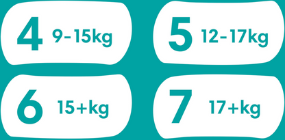 Pampers Premium Protection Pants T4 Maxi 9-15kg (168 pces) pack mensuelle