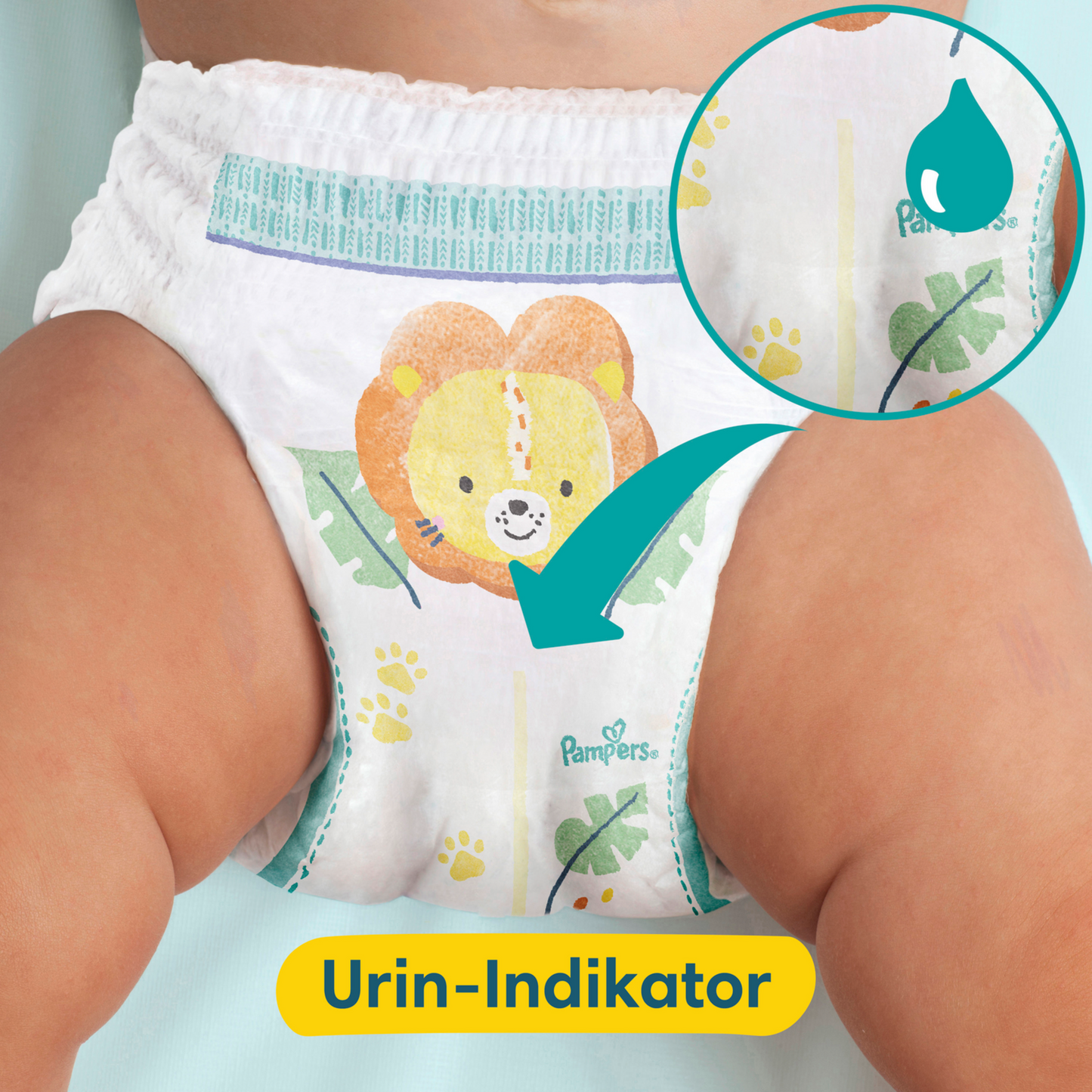 Pampers Premium Protection Pants T4 Maxi 9-15kg (168 pces) pack mensuelle