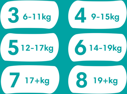 Pampers Baby-Dry PANTS T5 Junior 12-17kg (37 pces)